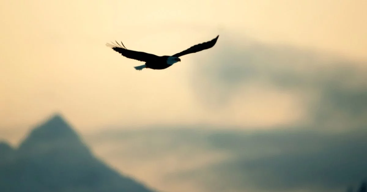 قوانين الحد الأدنى للأجور: نعمة أم نقمة؟